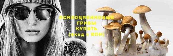 бошки Семёнов