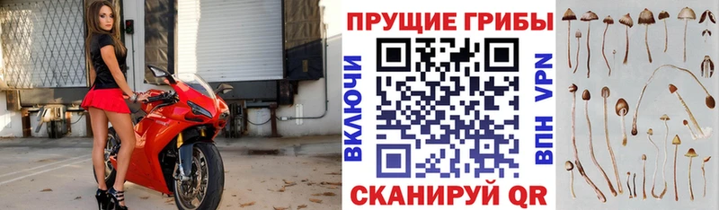 Галлюциногенные грибы ЛСД Жуковка